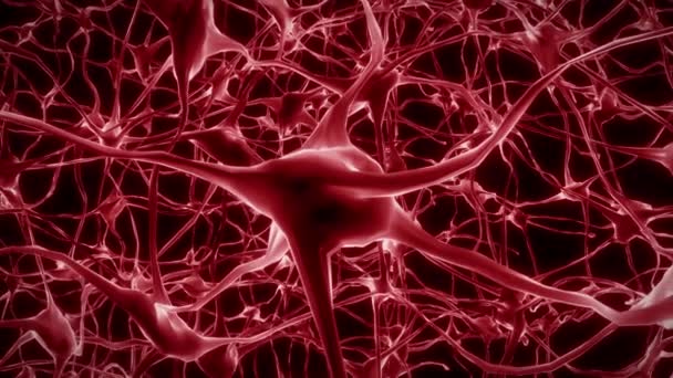 Neuronas Cerebro Mente Axón Pensamiento Neural Red Holograma Células Salud — Vídeo de stock