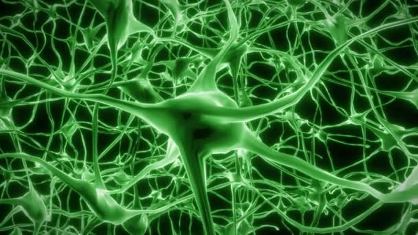 Neurony Mozek Mysl Axon Myšlení Nervové Sítě Hologram Buněčné Zdraví — Stock video
