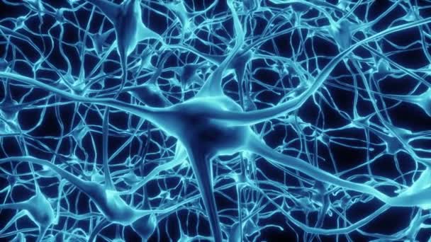 Neuronen Gehirn Gehirn Axon Gedanke Neuronales Netzwerk Hologramm Zelle Gesundheit — Stockvideo