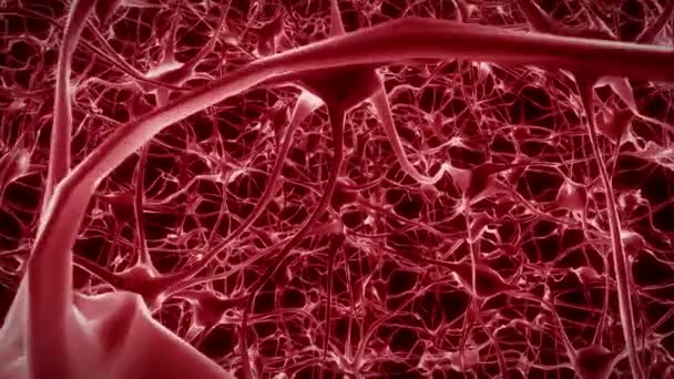 Нейрони Мозку Аксон Думки Нейронна Мережа Голограма Клітинних Наук Здоров — стокове відео