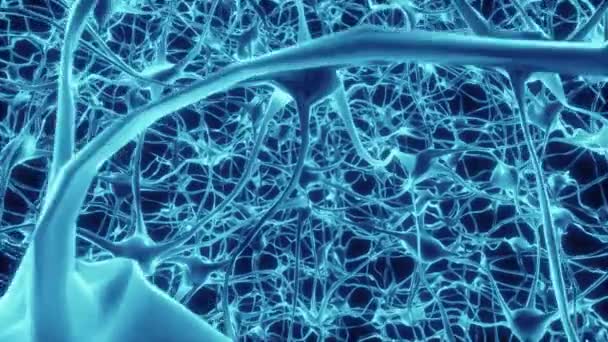 Neurons Brain Mind Axon Thought Neural Network Hologram Cell Health — Stock Video