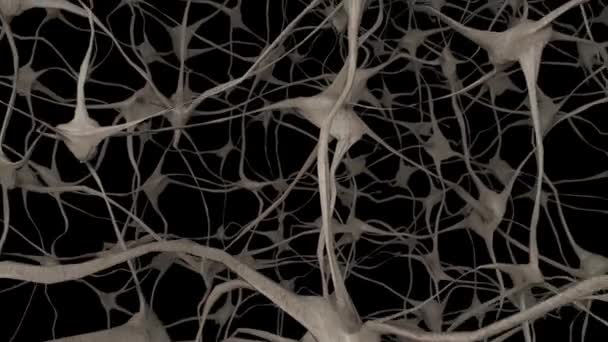 Neurons Brain Mind Axon Thought Neural Network Dendrite Cell Health — Stock Video