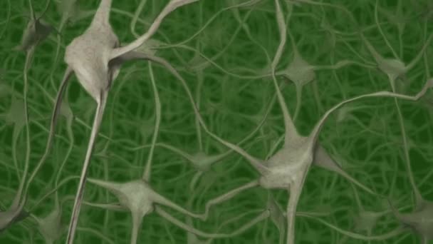 Neuronas Cerebro Mente Axón Pensamiento Neural Red Dendrita Célula Salud — Vídeo de stock