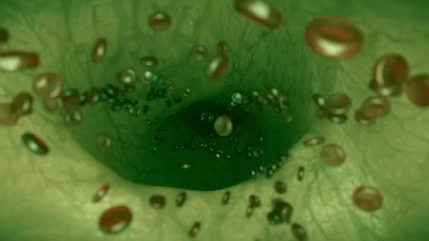 Células Sanguíneas Vena Verde Arteria Células Sanguíneas Ciencia Ficción Alienígena — Vídeo de stock
