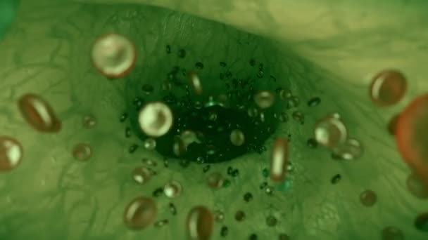 Células Sanguíneas Vena Verde Arteria Células Sanguíneas Ciencia Ficción Alienígena — Vídeo de stock