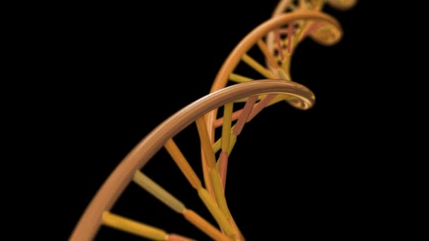 Dna Spinnen Rna Doppelhelix Langsame Wissenschaft Elektronenmikroskop Nahaufnahme Dof — Stockvideo