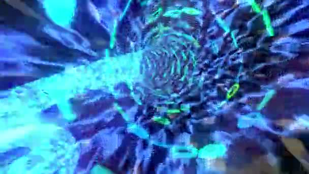 Binary Tunnel Wormhole Flight Space Warp Speed Dimension — Stock Video