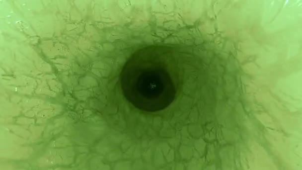 Alien Endoscope Intestins Halloween Paranormal Science Créature Anal Sonde Ufo — Video