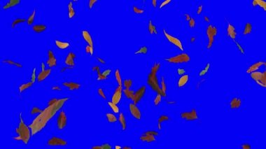 Yapraklar sonbaharda düşer Mevsimler düşerken Şükran Günü ağaçları yaprakları 4k