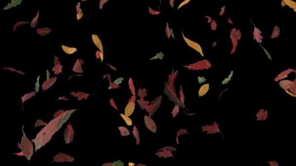 Листья Осенью Осенью Осенью Осенью Осенью Сезон Благодарения Листья Деревьев — стоковое видео