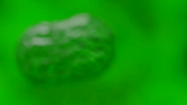 Cellules multipliant le sang du virus bactérien au microscope vert brillant 