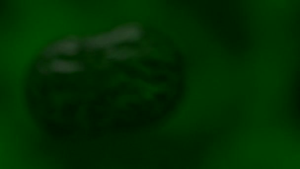 Cellules multipliant le sang du virus bactérien au microscope vert 