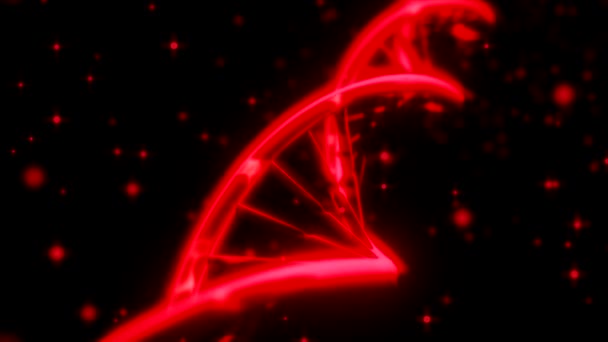 DNA girando RNA dupla hélice lenta rastreamento tiro close-up profundidade de campo DOF vermelho — Vídeo de Stock