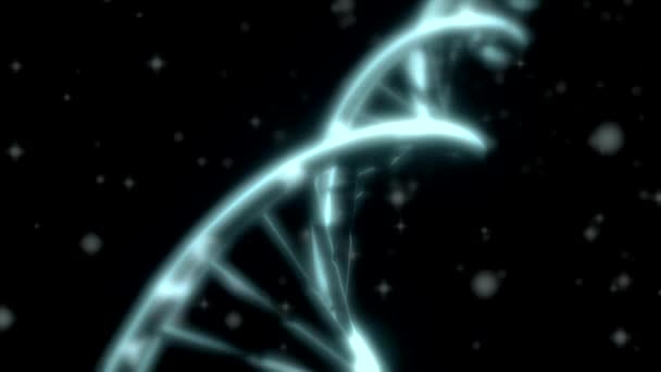 ADN girando ARN doble hélice de seguimiento lento disparo de primer plano profundidad de campo blanco — Vídeos de Stock