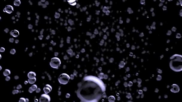 Regen waterdruppels close-up vallen naar camera Dof slowmotion lus blauw — Stockvideo