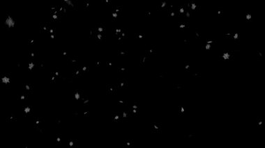 Siyah 2 düşen kar taneleri