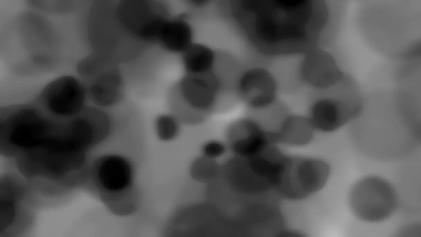 Dark Cell Blob Hintergrund schwarz — Stockvideo