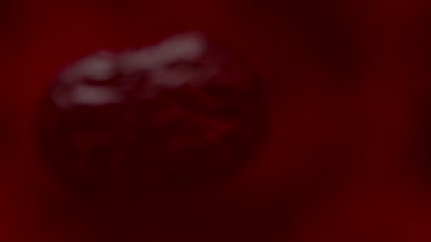 赤い顕微鏡下で細菌ウイルス血を乗じて細胞 — ストック動画