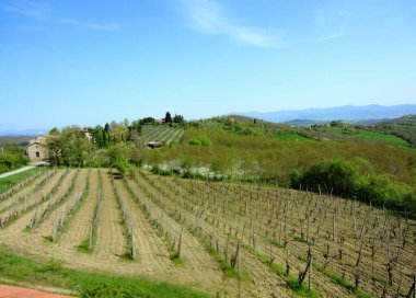 Tuscany İtalya 'daki Monterchi' deki üzüm bağları vadisinde, sıcak bir yaz gününde, dağların tepesinden ve ortaçağ çiftlik binalarından, tarım arazilerindeki yemyeşil bitkilerle birlikte, göz kamaştırıcı manzara.