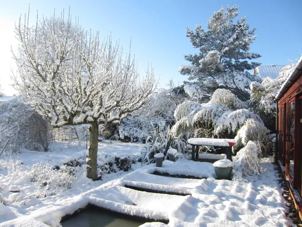 Beautiful Snow Covered English Garden Landscape Frozen White Layer Lawn — Stock Photo, Image