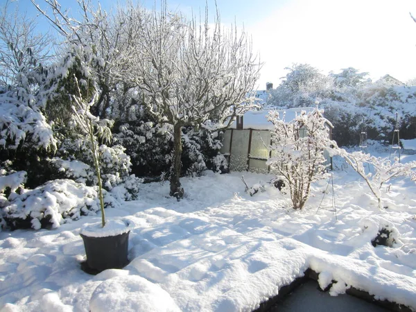 Beautiful Landscape Snow Covered Rural English Garden Bright Freezing Day — Stock Photo, Image