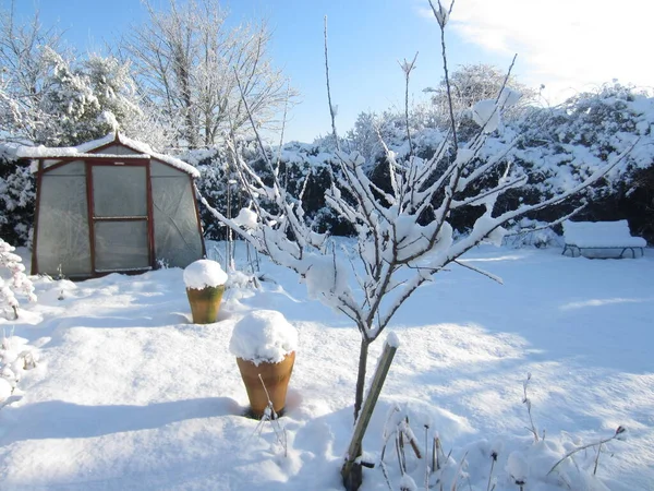 Beautiful Landscape Snow Covered Rural English Garden Bright Freezing Day — Stock Photo, Image