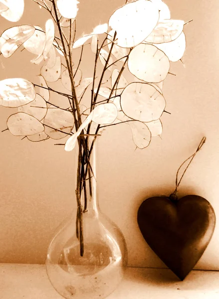 Valentine\'s day sepia still life with romantic red heart decoration and dried white Honesty seed heads and branches in an old chemist\'s glass vase with the light catching the dried leaves