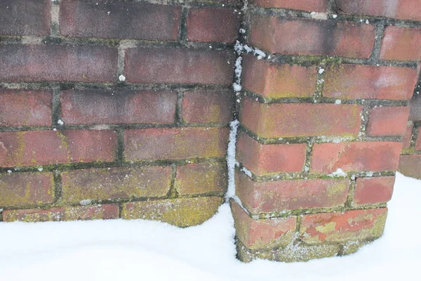 Winter scene of close up of old brick wall made of reclaimed terracotta red bricks with green moss in heavy snowfall in freezing weather after snow storm with white icy layer on ground