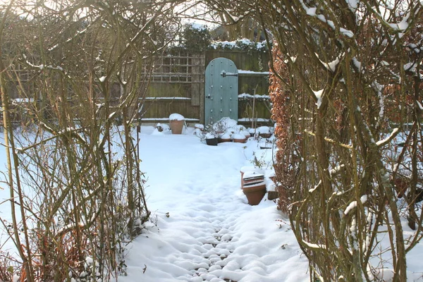 Landschaft Aus Schnee Bedeckt Winter Englisch Land Bio Garten Mit — Stockfoto
