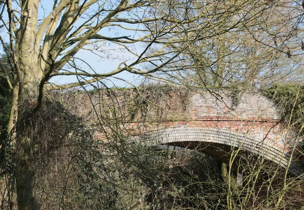 Paisaje Viejo Puente Ladrillo Con Árboles Vegetación Norfolk East Anglia — Foto de Stock