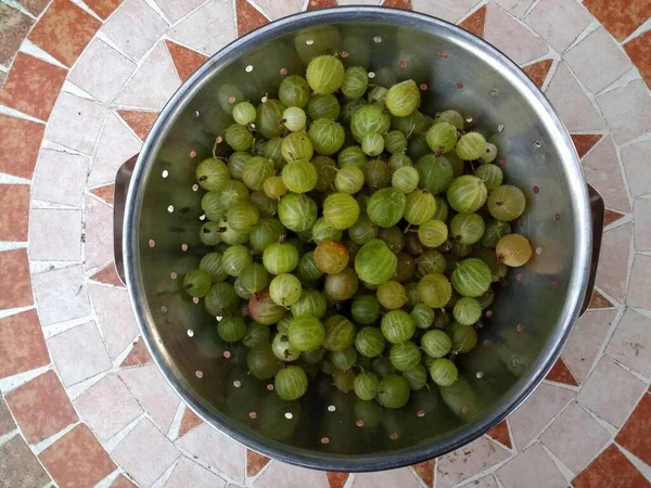 Close Kruisbessen Vers Geplukt Thuis Geteeld Heerlijk Biologisch Fruit Gefokt — Stockfoto