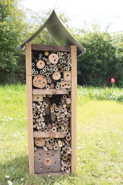 Close up of bee hotel, a recycled wood, branches and bamboo construction for the conservation of bees giving nesting space in the garden