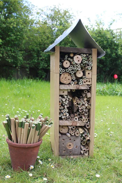 Close up of bee hotel, a recycled wood, branches and bamboo construction for the conservation of bees giving nest space  and protection in the garden sat on grass lawn with earthenware pot of pre cut bamboo sticks with natural holes for nesting