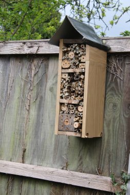Çiçek açan ağaç çitlerine sabitlenmiş arı otelinin kapağı, geri dönüşümlü kereste, dallar ve organik bahçede yetişen bambudan yapılmış, arıları ve dantel kanatları teşvik etmek için yaz başında yuvalanan deliklerle birlikte. 