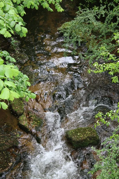여름에 스코틀랜드의 산에서 숲으로 흐르는 바위투성이의 양치류 하늘의 거품흐르는 전류에 — 스톡 사진