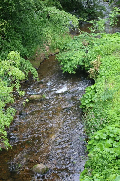 Krajobraz Skalistej Rzeki Wodą Płynącą Gór Lasu Szkocji Latem Zielonymi — Zdjęcie stockowe