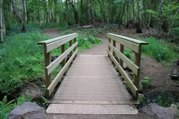 Landscape Wood Land Scotland Pathway Bridge Cool Mountain Stream Water — Stock Photo, Image