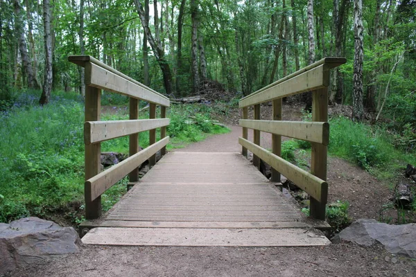 Landscape of wood land in Scotland with pathway, bridge over cool mountain stream water and beautiful tall oak trees around pathway with sunlight through the greenery and lush grass on forest ground