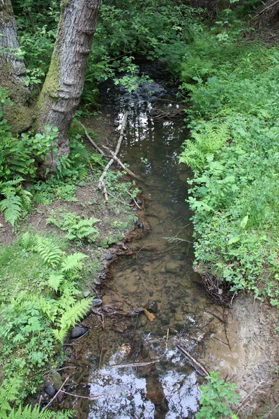 Landschap Van Rotsachtige Rivier Met Het Water Stromen Van Bergen — Stockfoto