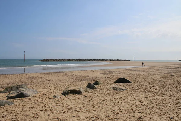 人の美しい夏の風景広大な海岸と穏やかな穏やかな海と青い空と砂浜の遠くの地平線の犬と一緒に歩く海ノーフォークに落下東アングリア英国2021年7月 — ストック写真