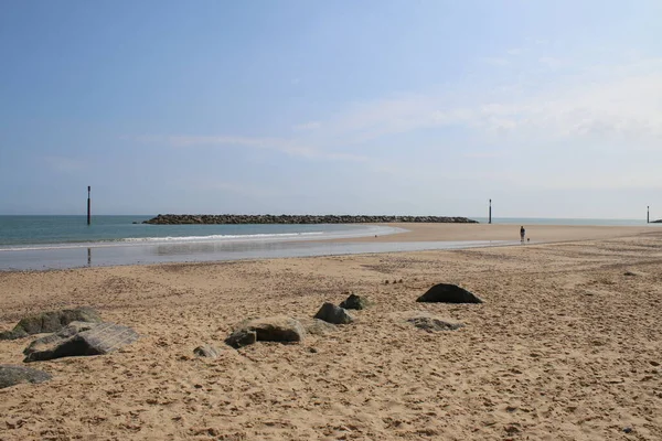 Vackert Sommarlandskap Människan Promenader Med Hund Fjärran Horisonten Sandstrand Med — Stockfoto