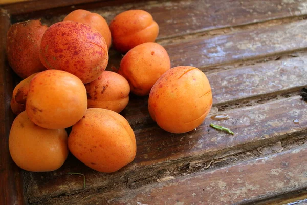 Primo Piano Albicocche Fresche Deliziosi Frutti Maturi Commestibili Dal Frutteto — Foto Stock