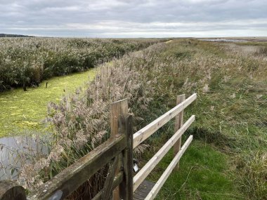Doğanın güzel manzarası çitle çevrili bataklık ve alg rengi su dereleri Cley Norfolk 'ta vahşi yaşam için nehir kıyısı alanı gri sonbahar gökyüzü sahile doğru yürüyor.