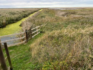 Doğanın güzel manzarası çitle çevrili bataklık ve alg rengi su dereleri Cley Norfolk 'ta vahşi yaşam için nehir kıyısı alanı gri sonbahar gökyüzü sahile doğru yürüyor.