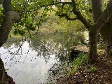 Norfolk 'un doğusundaki geniş göl manzarası gökyüzü bulutu, ağaçlar sakin su ve orman iskelesi platformunda yansıyan çalılar ile birlikte kışın gün ışığında doğa koruma sahasında.