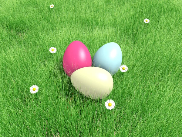 Easter eggs and daisies — Stock Photo, Image