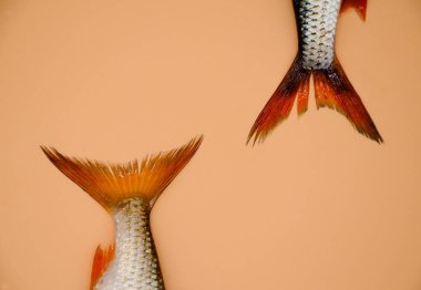 Turuncu arka planda nehir böceği balığı kuyrukları. Mutfak anlayışı, yemek hazırlama, vitrinler, market. Balıkçılık kavramı.