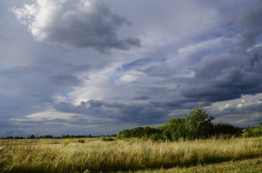 Sahada kümülüs bulutları olan yaz manzarası. Gökyüzü, kırsal alan. Rüzgarlı hava.