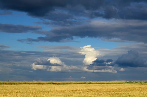 Summer landscape with cumulus clouds over field. Sky, rural background.