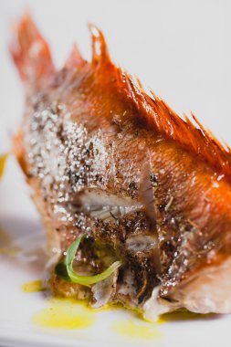 Kavrulmuş ızgara levrek